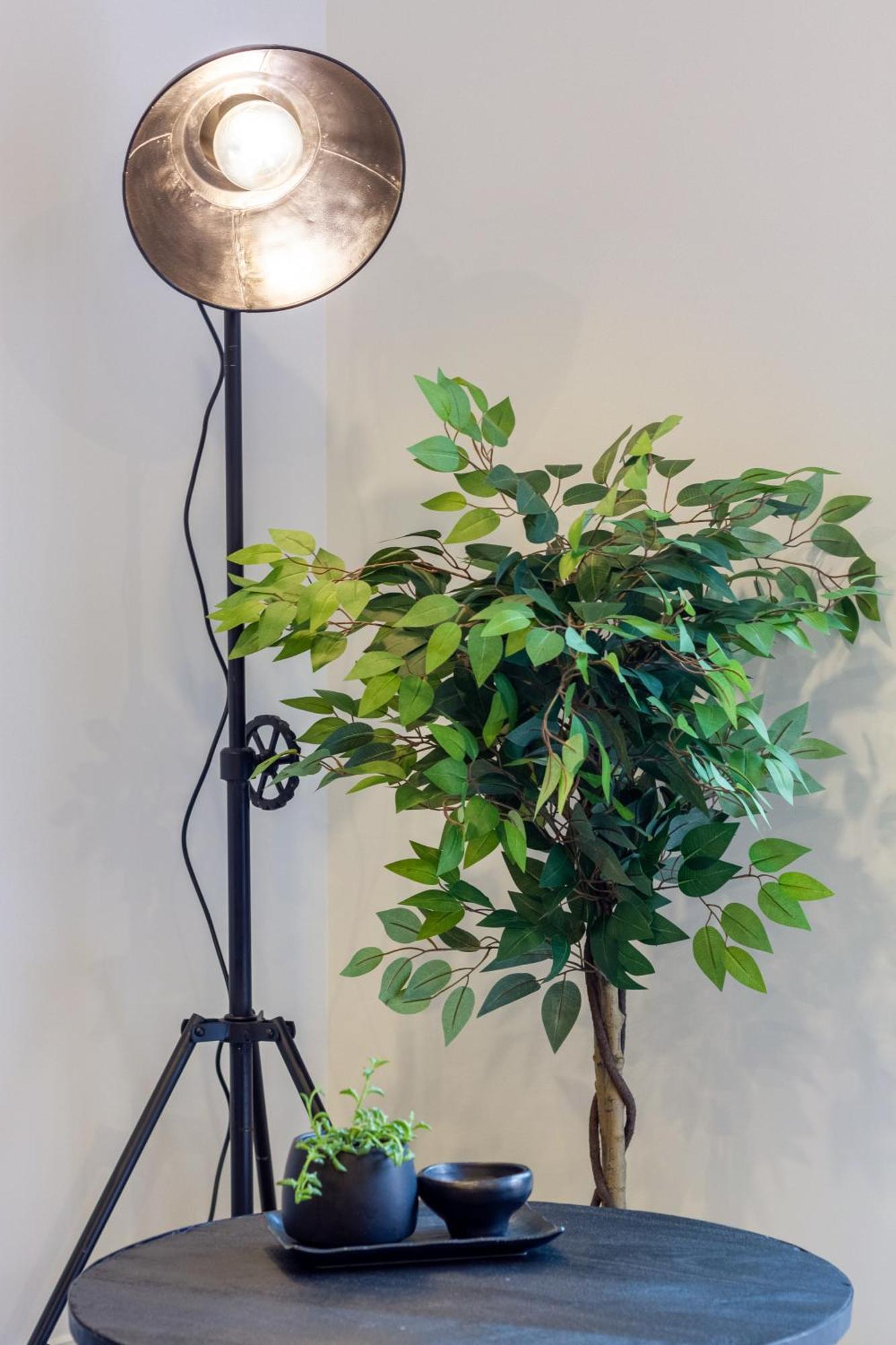 Merivale Gem: 2Br Townhouse Oasis Christchurch Zewnętrze zdjęcie